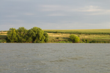 A body of water with trees in the background