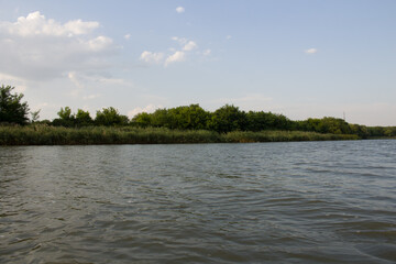 A body of water with trees in the background
