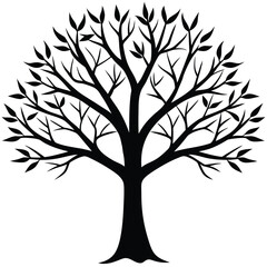 Fototapeta premium Black tree silhouette with spreading branches and leaves vector