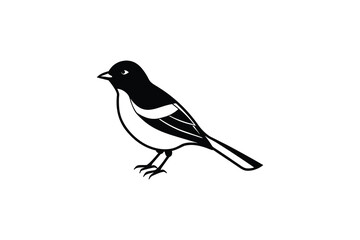 Elegant Magpie Bird Illustration in Black and White Silhouette Style silhouette