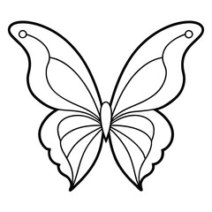 black and white butterfly