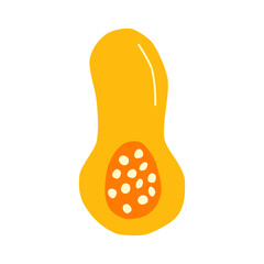 Cute hand drawn flat halved butternut pumpkin pulp isolated on white background. Healthy vegetarian food. Summer and autumn harvest.