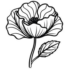 Fototapeta premium Poppy Flower Silhouette Design with Black Background silhouette on white background