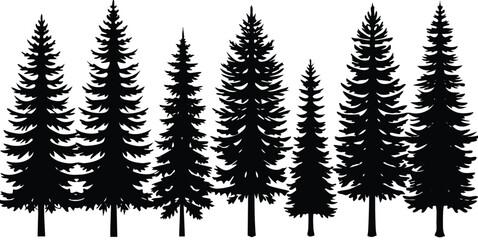 Pine Tree Collection Assorted Evergreen Tree Silhouettes on white background