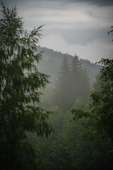 Foggy morning under Pilsko mountain