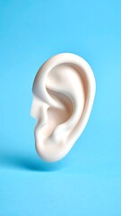 Human ear, profile view