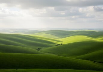  Rolling green hills under a cloudy sky, soft lighting 