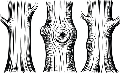 Tree Trunk Bark Texture Set with Knots Engraved Line Art.