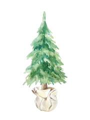 Rustic Christmas tree in a pot wrapped with beige paper watercolor isolated illustration. Hand drawn pastel botanical New Year clip art in Scandinavian style.
