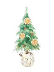 Rustic Christmas tree in a pot decorated with dried orange slices and star anise watercolor isolated illustration. Hand drawn pastel botanical New Year clip art in Scandinavian style.