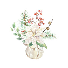 Rustic Christmas bouquet with white poinsettia flower, eucalyptus, red berries and fir branches with pine cone watercolor isolated illustration. Hand drawn pastel beige floral New Year clip art.