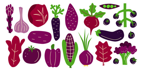 Set of cute hand drawn flat purple vegetables isolated on white background. Violet vitamin food in modern style. Autumn harvest farm festival. Healthy vegetarian nutrition.