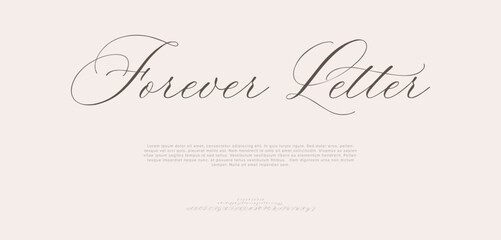 Signature Font Uppercase Lowercase And Number. Script Font Calligraphy Logotype  elegant Font Type Font lettering handwritten. vector illustration  
