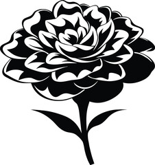 Marigold flower silhouette, botanical line art, floral element vector, minimal plant drawing, garden bloom illustration