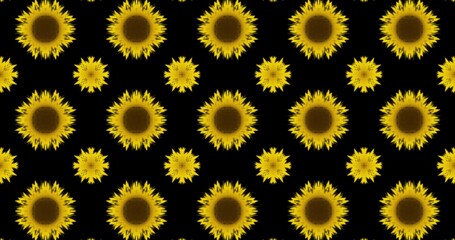 Floral Kaleidoscope Pattern on Black Background