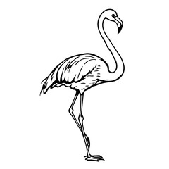 Obraz premium A vector illustration of a pink flamingo silhouette, a tropical bird design, isolated on white