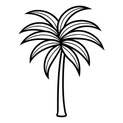 Obraz premium palm tree vector