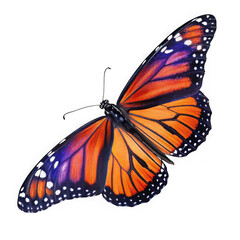 Fototapeta premium Monarch butterfly isolated on transparent background