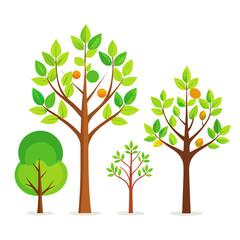 Obraz premium green tree with leaves