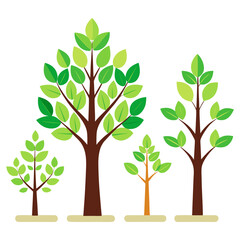 Fototapeta premium tree with green leaves