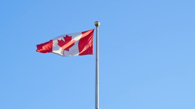 Horizontal video of Canadian flag waving in a sunny day.
