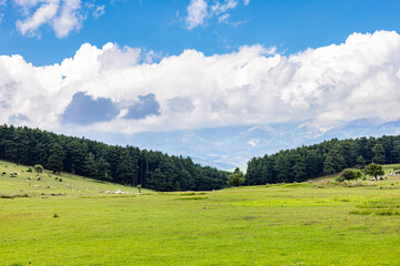 Kocayayla Plateau in Keles District. Bursa, Turkey. Beautiful Plateau of Bursa City.