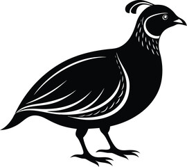Quail bird silhouette, northern bobwhite bird, wild game vector, minimal avian drawing, nature wildlife illustration 