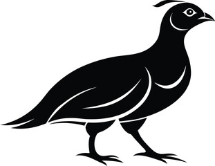 Quail bird silhouette, northern bobwhite bird, wild game vector, minimal avian drawing, nature wildlife illustration 