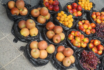 Medicinal stems resembling eggplant roots sold in a Korean traditional market