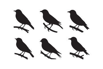 Six black bird silhouettes perched on branches