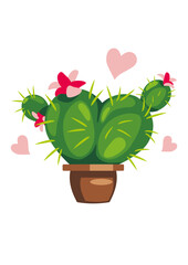 Blooming cactus in the shape of a heart
