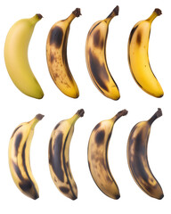 Banana Ripening Stages in a Row