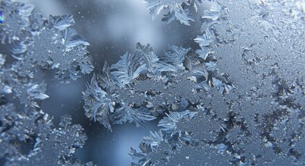 Fototapeta premium Intricate patterns of frost on a glass surface create a delicate winter scene showing the beauty