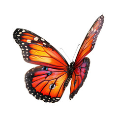 Fototapeta premium Monarch butterfly, vibrant orange and black wings, in flight, isolated on black