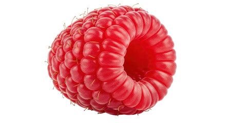 Isolated Raspberry