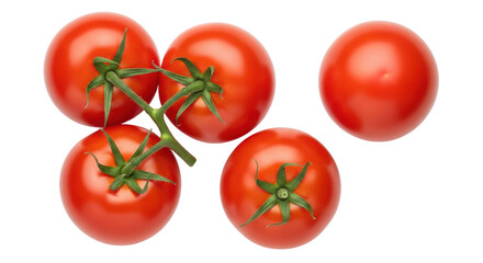 Isolated Vine Tomatoes