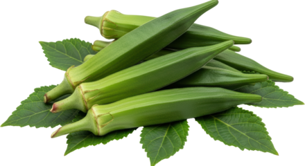 Isolated Okra with Leaves