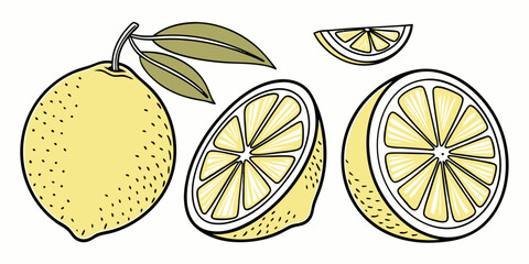 lemon vector illustration