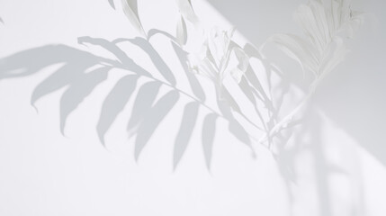 Leaf shadows on a cement background illustration