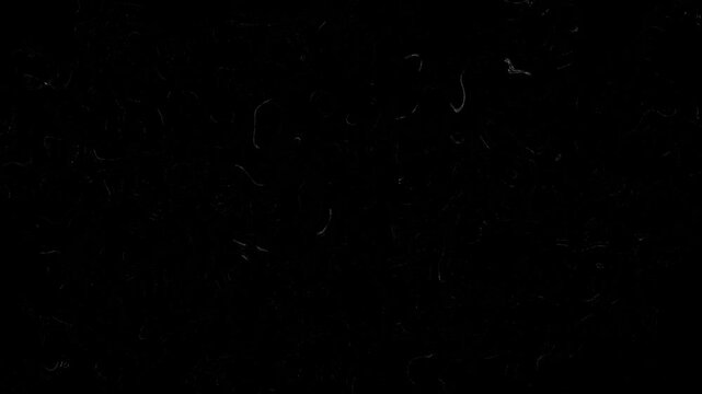 Noise Film overlay v7