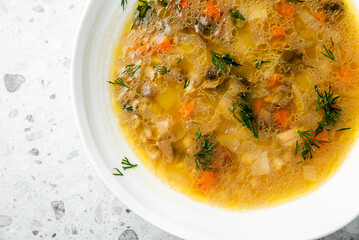 Homemade vegetable soup in a white bowl with carrots, mushrooms, onions, and fresh dill on a light background. Top view of a healthy vegetarian meal.