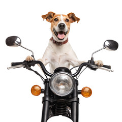 Vintage retro classic red chopper motorcycle and scooter bike on white background