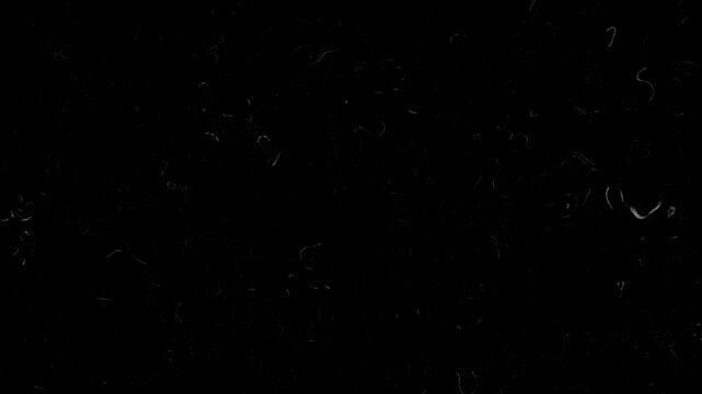 Noise Film overlay v3