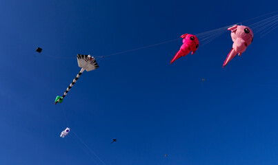 Cholula,Mexico,February-16-2025: Kites flying during the festival in Cholula