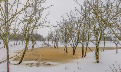 Snowstorm Denmark - winter 2024 Jutland