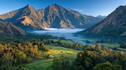Misty mountain valley with rice paddies