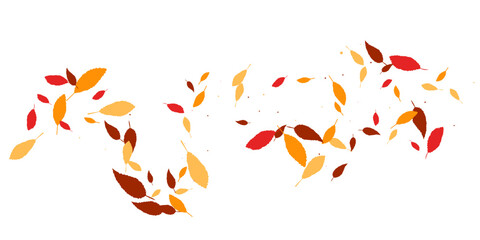 Leaves. Yellow, red, orange, brown colors. Scattered autumn leaves. Unusual abstract texture. Vector eps 10.