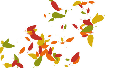 Leaves. Yellow, red, orange, brown, green colors. Scattered autumn leaves. Unusual abstract texture. Vector eps 10.