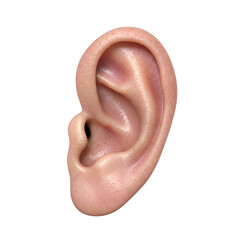 A detailed human ear isolated on transparent background