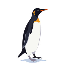 Obraz premium Penguins 